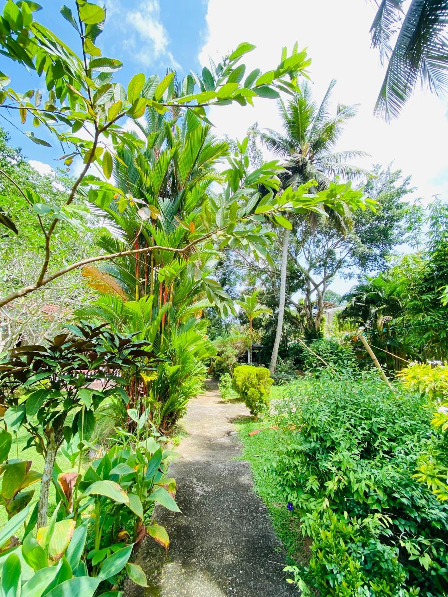 Leijay Garden Retreat Hotel Galle Exterior photo